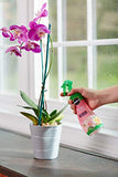 Miracle-Gro Orchid Plant Food Mist Rtu3