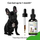 Pet Wellbeing Detox Gold for Dogs - Vet-Formulated - Gentle Detoxification & Elimination Support - Natural Herbal Supplement 2 oz (59 ml)