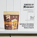 Ascent Iced Coffee Protein Powder - High Protein Coffee Powder, 20 g Protein & 100 mg Caffeine from Premium Colombian Coffee, Zero Artificial Flavors & Sweeteners - 15 Servings