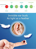 Invisible Hearing Aids for Seniors And Adults，Hearing Amplifier，Rechargeable Hearing Aids with Noise Cancelling,Rechargeable Invisible Hearing Amplifier to Aid Hearing,Sound Amplifier,Mini Invisible ITC Digital Hearing Devices , Blue & Red (1 Pair)