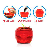 Raid Fruit Fly Traps - 2 Lures + 2 Refills - Effective Indoor Killer & Gnat Traps - Easy to Use, Safe Food-Based Catcher