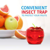 Raid Fruit Fly Traps - 2 Lures + 2 Refills - Effective Indoor Killer & Gnat Traps - Easy to Use, Safe Food-Based Catcher