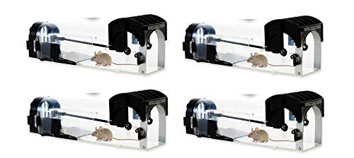 Home and Country USA Humane Mouse Trap. Our catch and release mouse traps are designed as a live mouse and rat trap for those who want to remove mice the right way. (4)