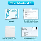 Food Intolerance Test kit, Dietary, Pollen and Gluten Intolerance from Healthy Stuff Online for Kids and Adults, Easy to Use Food Sensitivity Test kit (500 ITEMS TESTED, Single Pack)