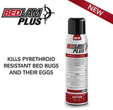 MGK Bedlam Plus Bed Bug Aerosol (17oz, 1 can) and Rockwell Labs CimeXa Dust Insecticide, White