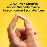 NATURAL STACKS Creatine Monohydrate Pills 2500mg - Maximum Absorption Formula w/Himalayan Salt & Fenugreek | Supports Brain Health, Endurance & Muscle Building - 120 Creatine Capsules