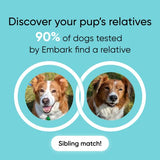 Embark Breed & Health Kit - Dog DNA Test - Discover Breed, Ancestry, Relative Finder, Genetic Health, Traits, COI