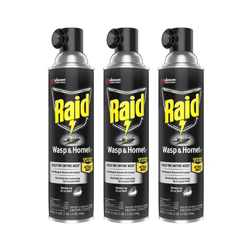 Raid Wasp and Hornet Killer, 17.5 OZ (Pack of 3)