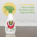 Raid Essentials Ant & Roach Killer Spray Bottle, Child & Pet Safe, Kills Insects Quickly, for Indoor Use, 12 Fl Oz (Pack of 3)