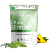 Sprout Living Epic Protein, Plant Based Protein & Superfoods Powder, Mindful Matcha | 17 Grams Organic Protein Powder, Vegan, Non-GMO, Gluten Free, Adaptogens + Nootropics (1 Pound, 12 Servings)