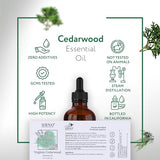 HBNO Cedarwood Essential Oil (Virginia) - Huge 4 oz (120ml) Value Size - Natural Cedarwood Oil, Steam Distilled - Perfect for Cleaning, Aromatherapy, DIY, Soap & Diffuser - Cedarwood Essential Oils