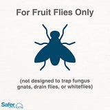 Safer Brand Home SH500 Indoor Fruit Fly Trap – Ready-to-Use, Non-Staining, No synthetic Insecticides – 6 Traps, Blue