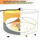 Yellow and LightGray Gray ASPECTEK - Trapest Sticky Dome Flea Bed Bug Trap with 2 Glue Discs. Odorless Cleaner and Flea Killer Trap Pad (Flea Trap)