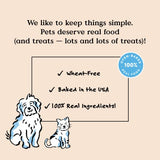 Bocce's Bakery Holiday Feast Recipe Treats for Dogs, Wheat-Free Everyday Dog Treats, Made with Real Ingredients, Baked in The USA, All-Natural Soft & Chewy Cookies, Turkey, Pumpkin & Cranberry, 6 oz