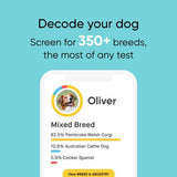 Embark Breed & Health Kit - Dog DNA Test - Discover Breed, Ancestry, Relative Finder, Genetic Health, Traits, COI