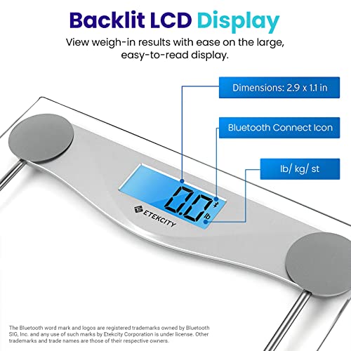 Etekcity Digital Body Weight Bathroom Scale, Large Blue LCD Backlight Display, High Precision Measurements, 8mm Tempered Glass, 440 Pounds