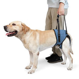 Dotoner Dog Sling for Large Dogs Hind Leg Support to Help Rehabilitate The Hind Limbs of Elderly Dogs with Weak Hind Legs Disabilities and Injuries Dog Harness Helps Arthritis ACL Recovery（L,Blue）