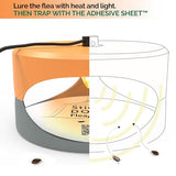 Orange and Light Gray ASPECTEK - Trapest Sticky Dome Flea Bed Bug Trap with 2 Glue Discs. Odorless Cleaner and Flea Killer Trap Pad