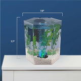 Tetra Bubbling LED Aquarium Kit 1 Gallon, Hexagon Shape, With Color-Changing Light Disc,Green (Packaging may vary) , 1 gallon (7.5 x 7.5 x 7.7")