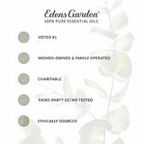 Edens Garden Detox & Cleanse Essential Oil Blend, 100% Pure & Natural Best Recipe Therapeutic Aromatherapy Blends- Diffuse or Topical Use 30 ml