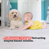 Urine Gone Stain & Odor Eliminator: Professional Strength Fast-Acting Enzyme-Based Solution, Instantly Penetrates and Neutralizes into the Fibers of a Carpet, Stops Pets from Remarking…