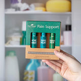 Plant Therapy Pain Support Essential Oil Roll On Blend Set 10 mL (1/3 oz) Each of Ache Away, Rapid Relief & Tension Relief, Pure, Pre-Diluted, Essential Oil Blends