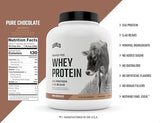 Levels Grass Fed 100% Whey Protein, No Hormones, Pure Chocolate, 5LB