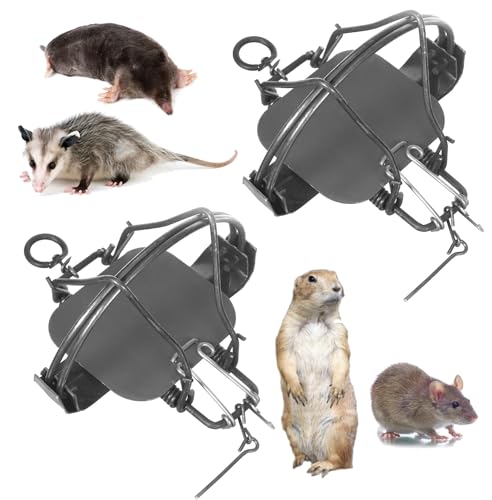 Pack of 2 Classic Rat Traps Mole Trap Rodent Cage Possum Trap Gophers Trap Groundhog Trap Fully Galvanized - Humane Rat Traps That Work - Durable Reusable Rat Trap (6in - 2pack)