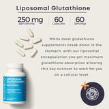 BodyBio Liposomal Glutathione | Body’s Most Powerful Antioxidant | Master Detoxification | Colon Cleanse| Optimal Cell Protection for Immune Defense | Enhanced Liposomal Absorption | 60 Capsules