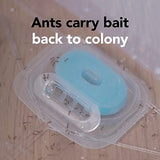 Raid Max Liquid Ant Bat; Kills Ants Where They Breed, For Indoor and Outdoor Use; 8 Bait Stations