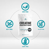 2 Pack Creatine Monohydrate Powder 600 Grams (21.2oz), Unflavored | Pure | Micronized Creatine Powder, 5000mg Per Serving, 4 Month Supply, Vegan | Keto, Non-GMO, No Filler, No Additives - 120 Servings