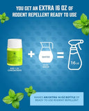 Gardenix Decor EcoNaturals Rodent Repellent Spray - 16oz + 1oz Concentrate for 2nd Bottle; Indoor/Outdoor Natural Peppermint Oil Spray. Rat Repellent Peppermint Oil to Repel mice and Rats.