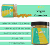 Alafia Naturals Sugar Free Creatine Monohydrate Gummies 5g for Men & Women, 30 Servings, Chewable Creatine w/L-Carnitine for Increase Strength, Muscle Growth & Recovery, Pre & Post Workout 120 ct