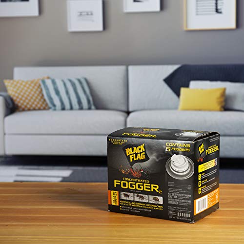 Black Flag Indoor Fogger, Pack of 4, Clear