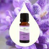 Plant Therapy Lavender Essential Oil 100% Pure, Undiluted, Natural Aromatherapy, Therapeutic Grade 100 mL (3.3 oz)