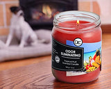 Tropical Fruit Odor Eliminating Highly Fragranced Candle - Eliminates 95% of Pet, Smoke, Food, and Other Smells Quickly - Up to 80 Hour Burn time - 12 Ounce Premium Soy Blend