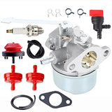 S200 Carburetor for Toro S200 Tecumseh HSK850 HSK845 640309 8204D 8204E 8327C 8327D 8222D 8222E 8221F 8222C Replaces 632537A 640093 Fits Craftsman 536.885211 Snapper LE19 Snow Blower