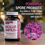 Bacillus Subtilis Spore Based Probiotic — High Potency Strain with Prebiotic for Balanced Belly | Daily Gut Health & Microbiome Support for Family | 6 Billion CFU Per Day | 90 Vegetarian Capsules
