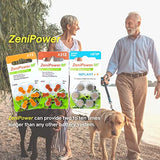 ZeniPower 60 Hearing Aid Batteries Size: 13 + Battery Holder Keychain Kit