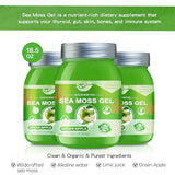 Sea Moss Raw Organic, 18.5OZ Natural Sea Moss Gel with Irish Sea Moss-Immune and Digestive Support Vitamin Mineral Antioxidant Supplements(Green Apple)