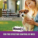 EcoClear Products 620200-6D MouseX All-Natural Poison Free Humane for Rats and Mice, 8 oz. Bag