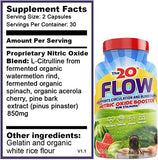 The20: Flow - Nitric Oxide Supplement - 60 Capsules - L-Citrulline from Organic Watermelon, Organic Spinach, and Organic Acerola Cherries - for Heart, Brain, and Overall Health - No Gluten