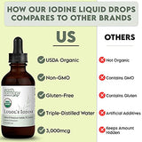 Organic Lugol's Iodine (2-Pack), Iodine and Potassium Iodide 2% Solution 3000 mcg - Liquid Supplement Drops for Thyroid Support for Women & Men, Metabolism Health, Detox Boost - 395 Servings (2 Fl Oz)