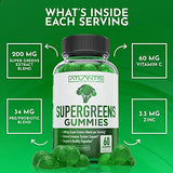 Supergreens Gummies 2-Pack Daily Green Superfoods Supplement w/Spinach, Broccoli, Moringa, Beet Root, Celery, Green Tea, & Acai for Immunity Support, Natural Raspberry Flavor, 120 Supergreen Gummies