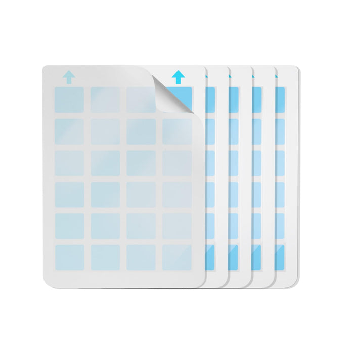 Carmelie Refills Glue Boards for Indoor Fly Trap, Flying Insect Trap, Insect Catcher, Fruit Fly Traps for Indoors, for Gnat, Fruit Files, Bugs, Mosquitoes, Mice Killer, Pack of 5