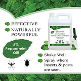 Puremint Insect & Pest Control, Powerful & Natural 5% Peppermint Oil Spray for Ants, Spiders, Bed Bugs, Dust Mites, Roaches and More - Indoor and Outdoor Use, 128 fl oz Gallon