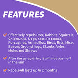 Bonide Repels-All Animal Repellent, 32 oz Ready-to-Spray Outdoor Pest Garden Deer & Rabbit Control, People & Pet Safe