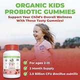 MaryRuth's USDA Organic Probiotic Gummy | Digestive and Immune Support | Gut Health | Vegan | Non-GMO | Gluten Free | 60 Count