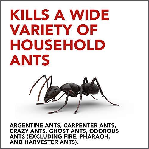 Raid Ant Gel, Kills Ants You Don't See, Continues Killing for up to 1 Month, Odorless Bug Control, 1.06 Ounce (Pack of 3)