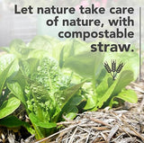 Premium Garden Straw (4 LBS) - Straw Mulch That is Designed for Use in Compost Beds, Gardens, Pet Bedding, Lawns and Much More. by Home and Country USA